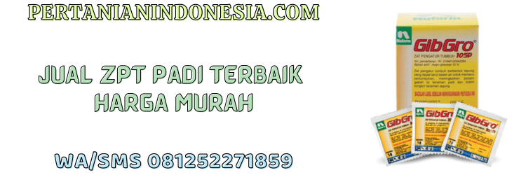 jual,murah,terjangkau,toko pertanian terdekat,pertanian indonesia